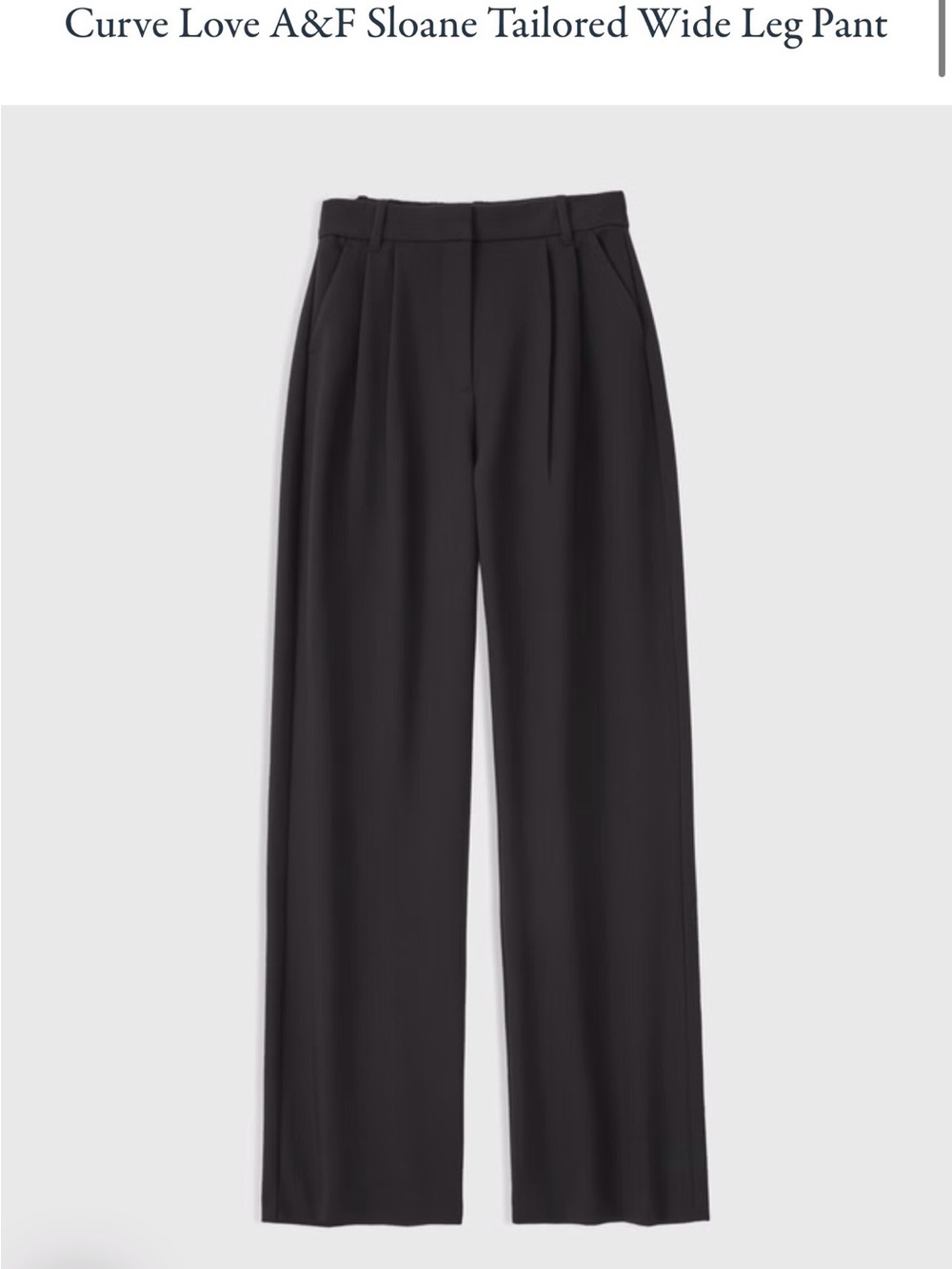 Abercrombie & Fitch Curve Love Sloane Tailored Wide Leg Pant - Black